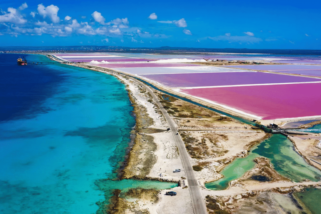 quanto custa viajar bonaire